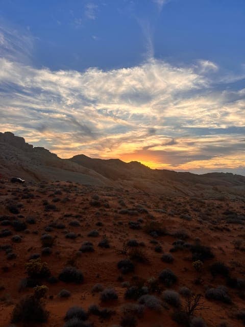 undefined Gallery Image 4