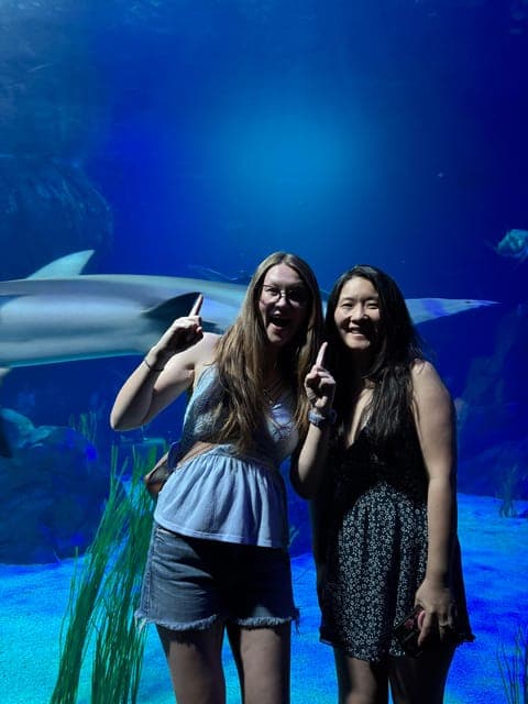 undefined Gallery Image 3