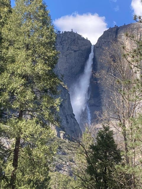 undefined Gallery Image 4