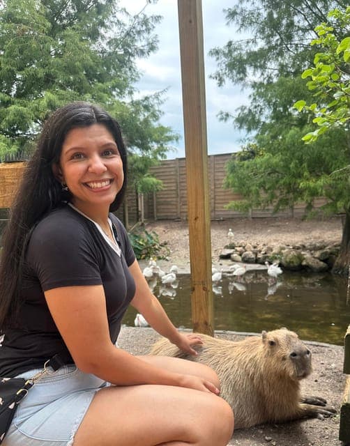 undefined Gallery Image 3