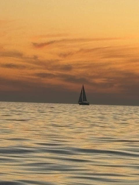 undefined Gallery Image 1