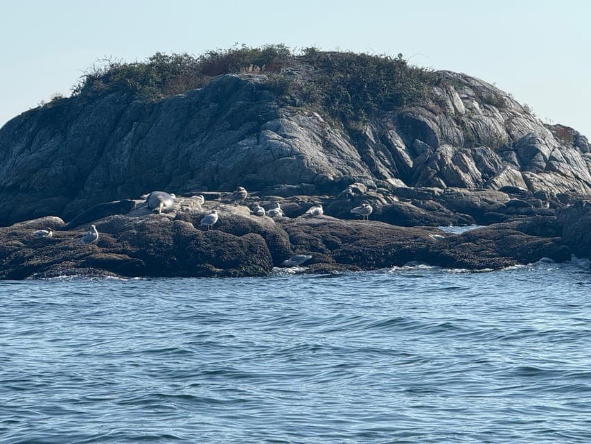 undefined Gallery Image 2