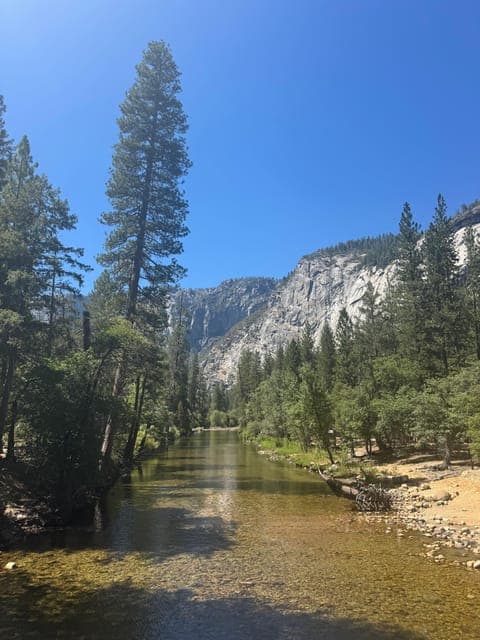 undefined Gallery Image 2