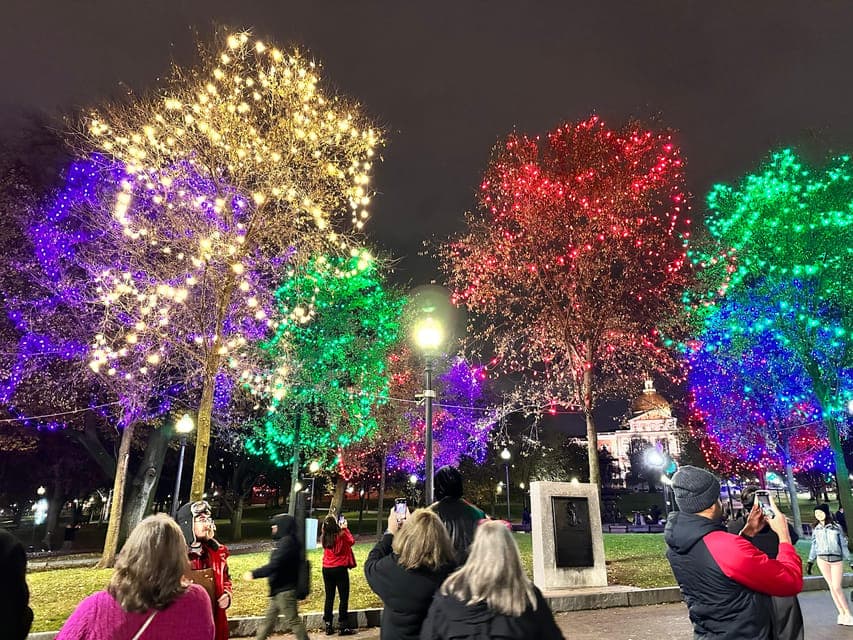 undefined Gallery Image 4