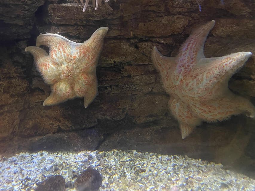 undefined Gallery Image 1