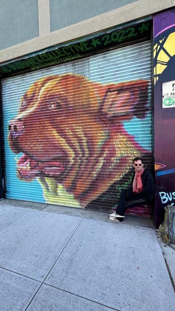 undefined Gallery Image 1