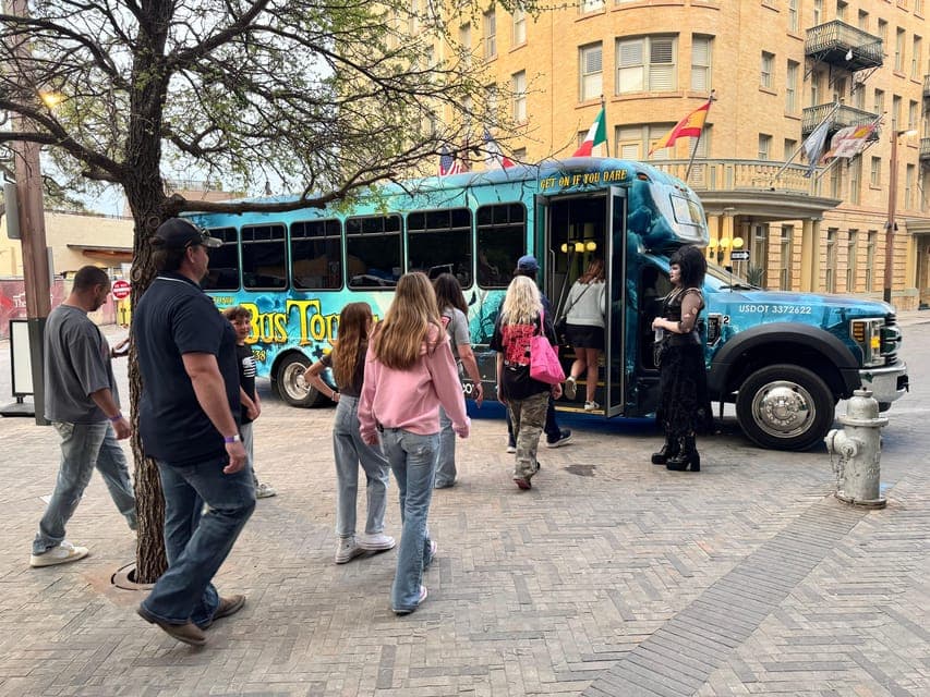 undefined Gallery Image 3