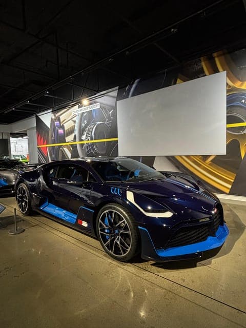 undefined Gallery Image 1