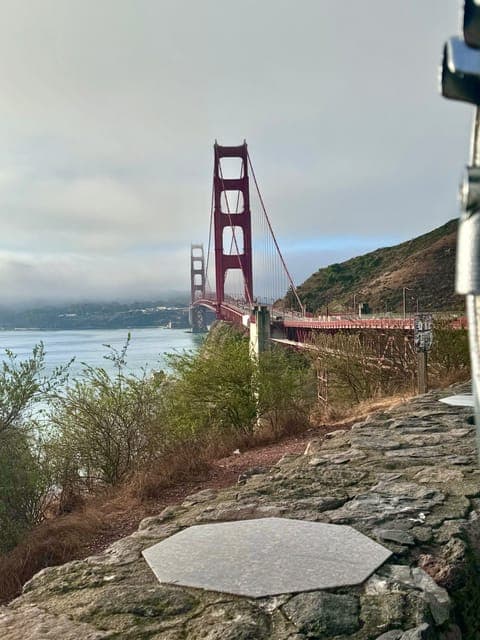 undefined Gallery Image 3