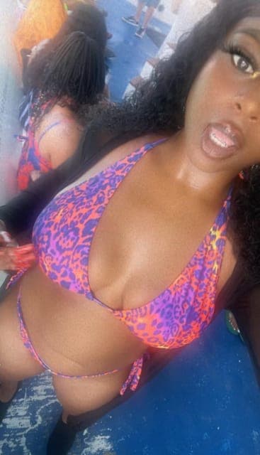 undefined Gallery Image 2