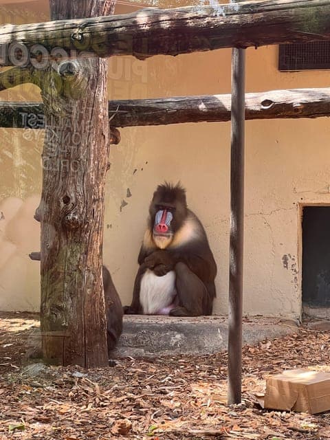 undefined Gallery Image 3