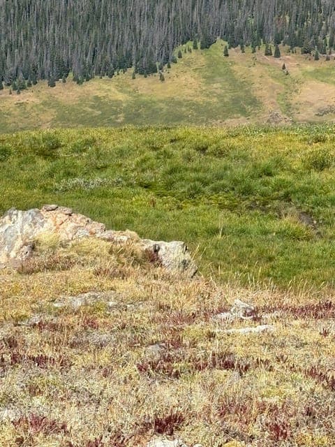 undefined Gallery Image 2