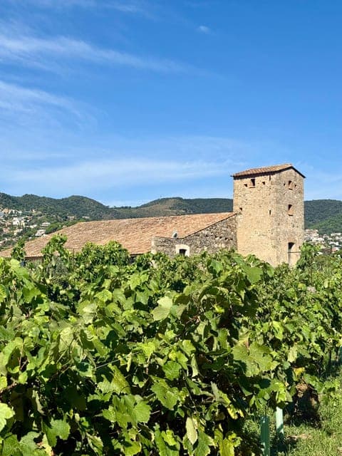 undefined Gallery Image 4