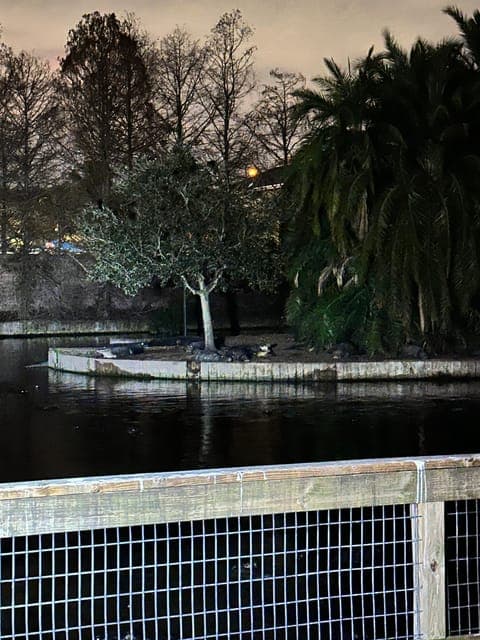 undefined Gallery Image 1