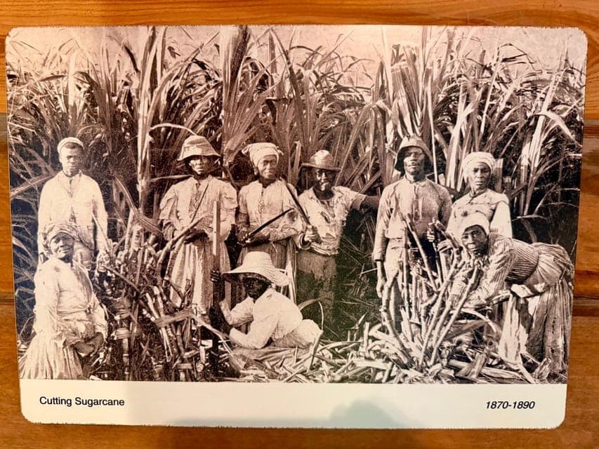 undefined Gallery Image 3