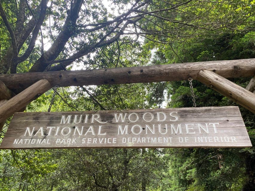 undefined Gallery Image 1