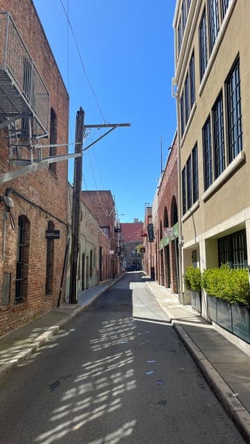 undefined Gallery Image 3