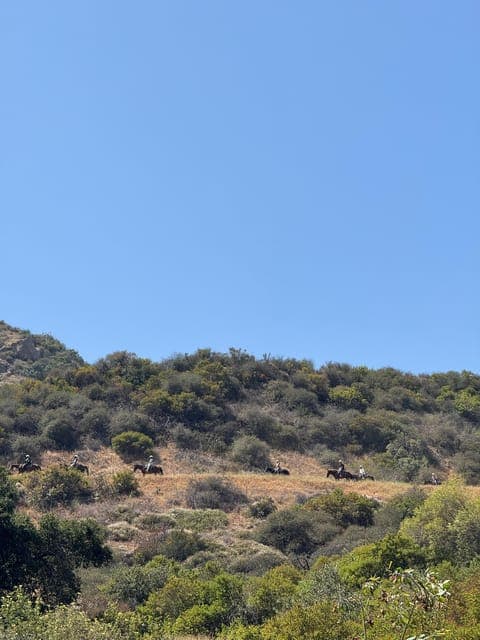 undefined Gallery Image 2