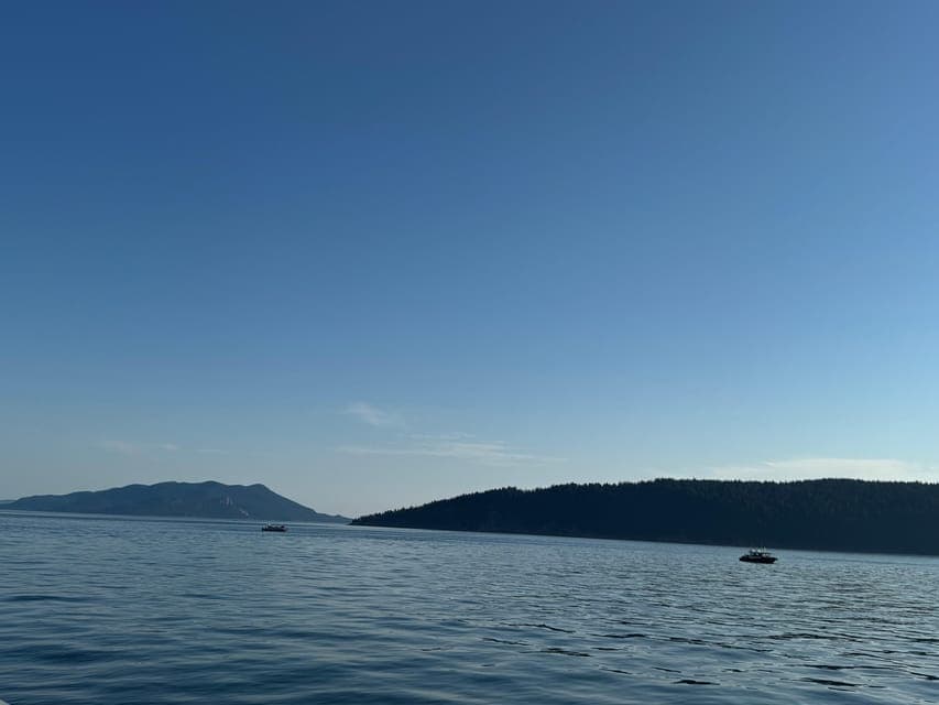 undefined Gallery Image 4