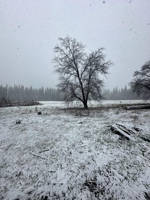 undefined Gallery Image 3