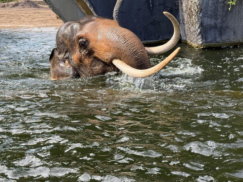 undefined Gallery Image 1