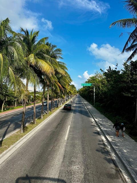 undefined Gallery Image 3