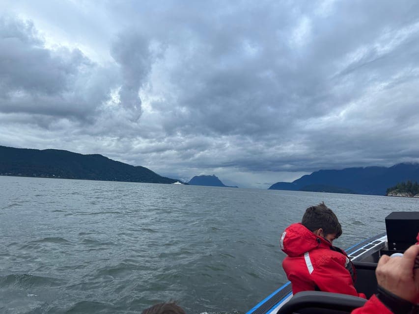 undefined Gallery Image 2