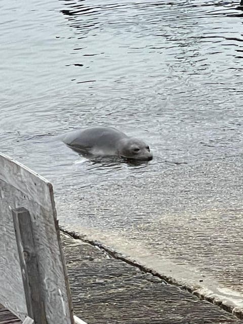 undefined Gallery Image 1