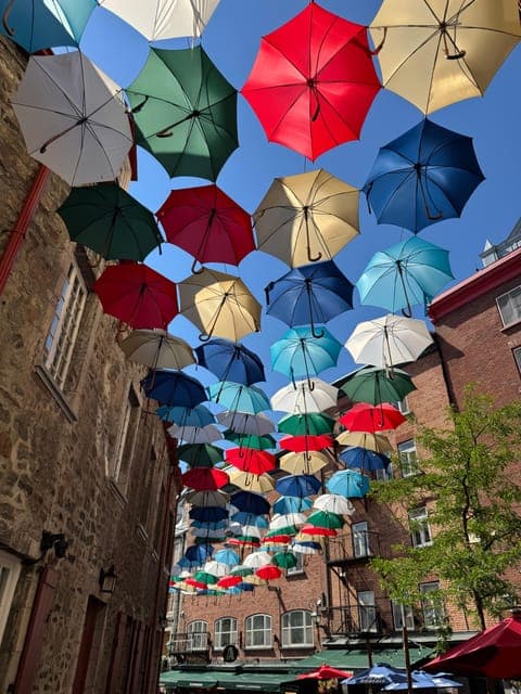 undefined Gallery Image 2