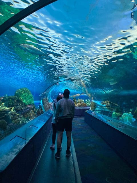 undefined Gallery Image 3