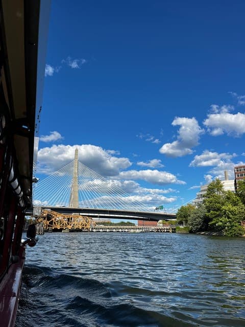 undefined Gallery Image 4