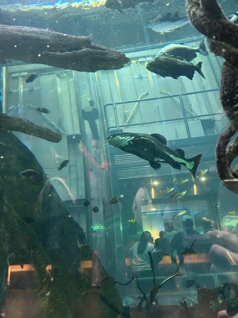 undefined Gallery Image 3