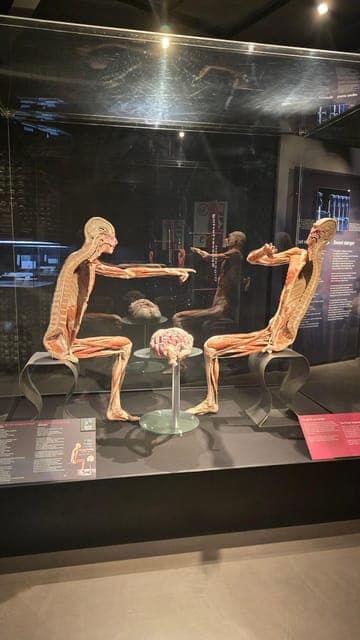 undefined Gallery Image 1