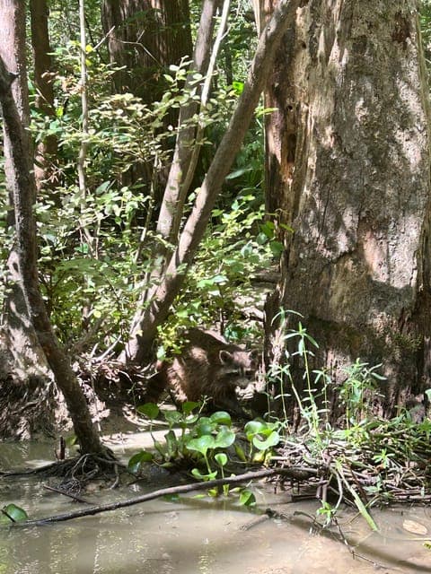 undefined Gallery Image 2