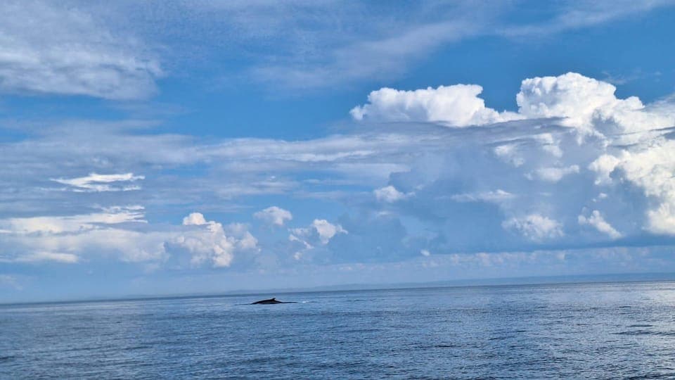 undefined Gallery Image 4