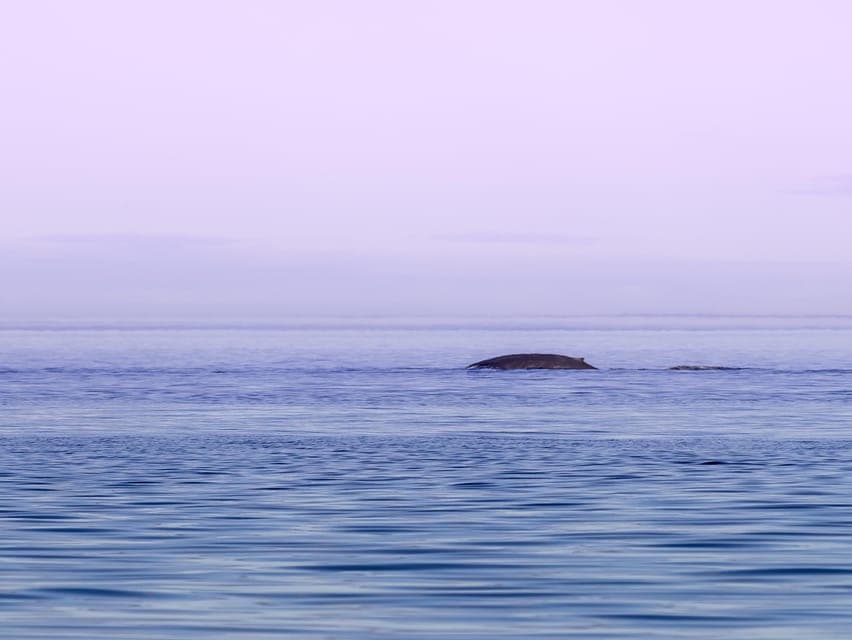 undefined Gallery Image 2