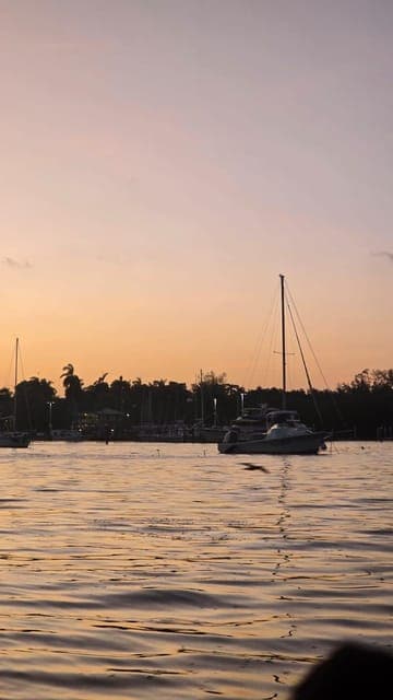 undefined Gallery Image 3