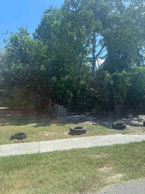 undefined Gallery Image 4