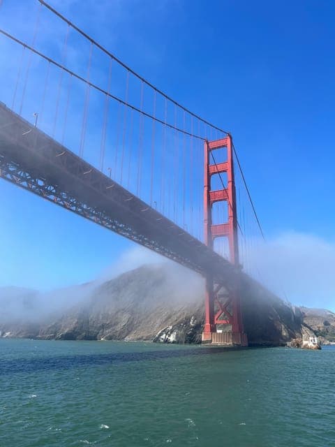 undefined Gallery Image 3