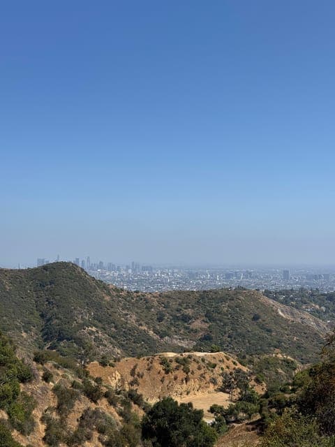 undefined Gallery Image 3