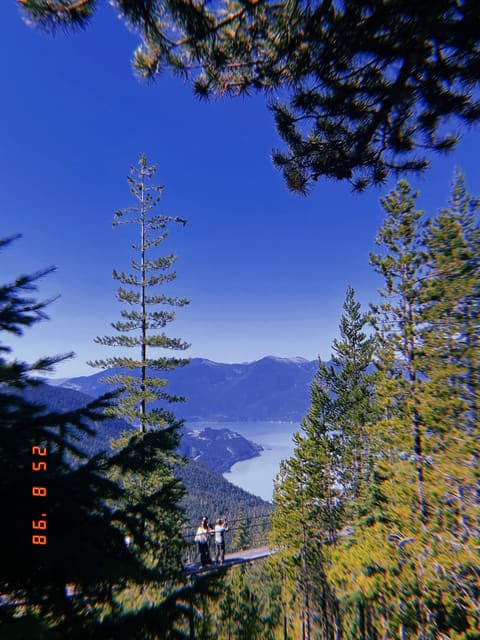 undefined Gallery Image 4