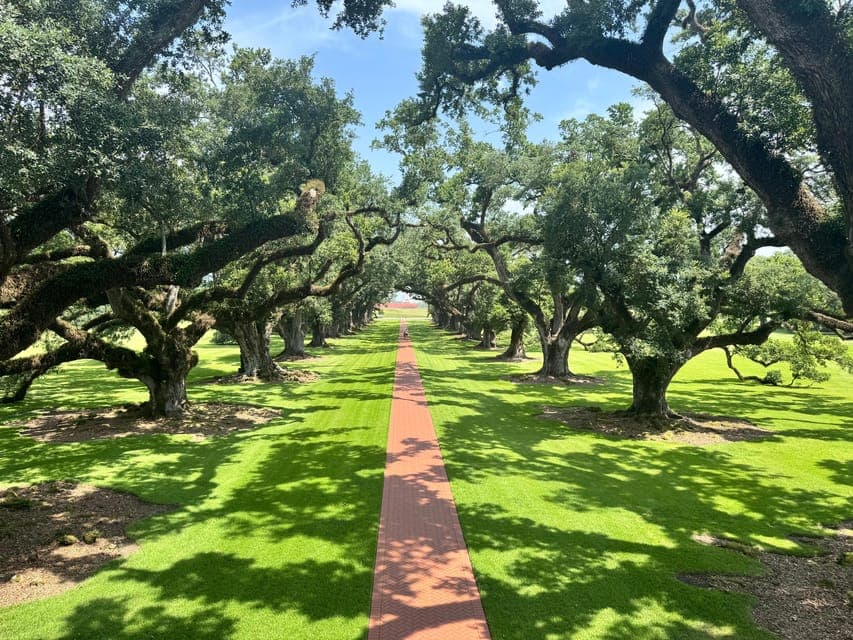 undefined Gallery Image 1