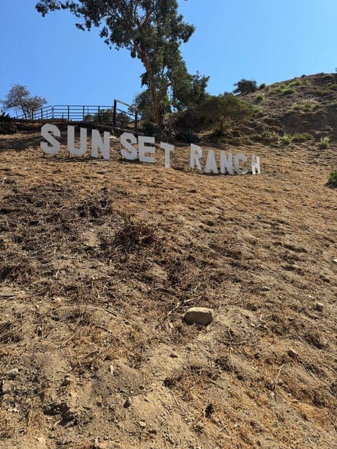 undefined Gallery Image 3