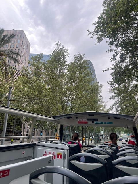 undefined Gallery Image 4