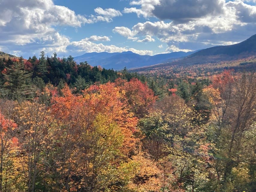 undefined Gallery Image 4