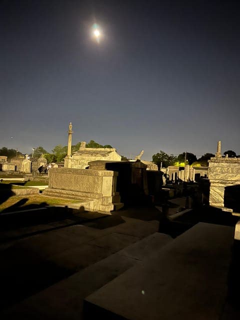 undefined Gallery Image 2