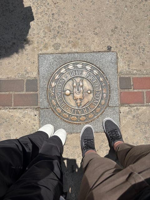 undefined Gallery Image 4