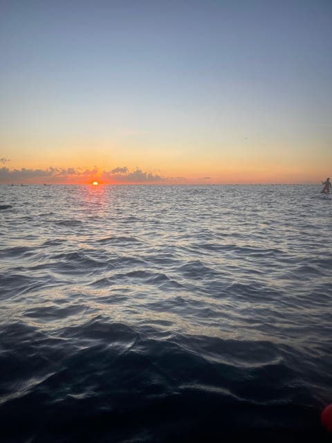 undefined Gallery Image 3