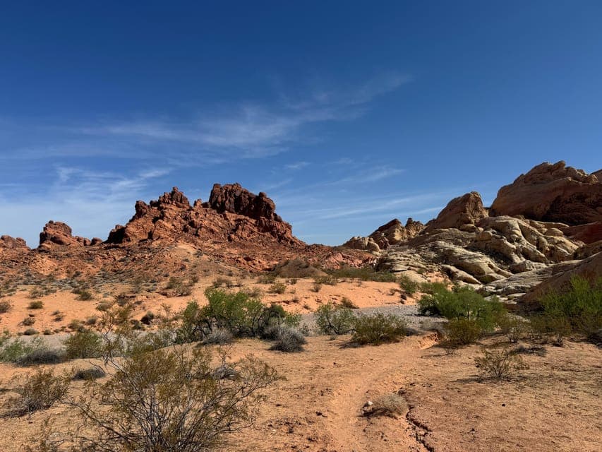 undefined Gallery Image 1