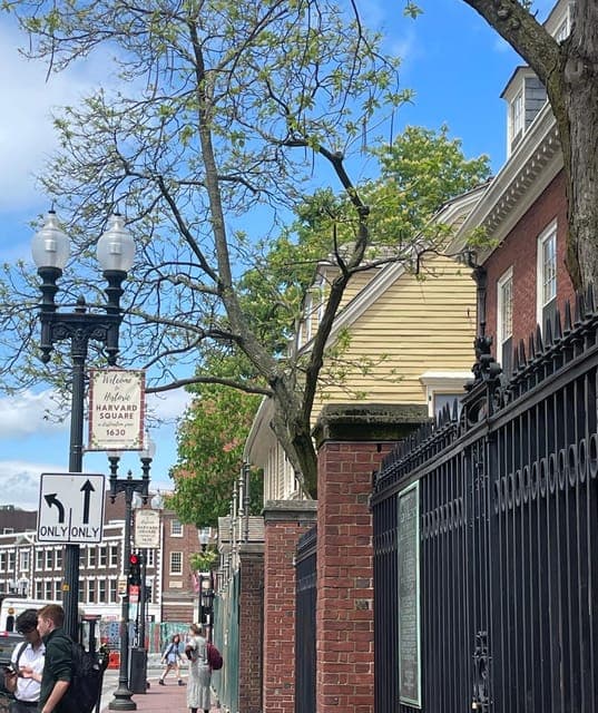 undefined Gallery Image 1